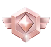 DU88 medal