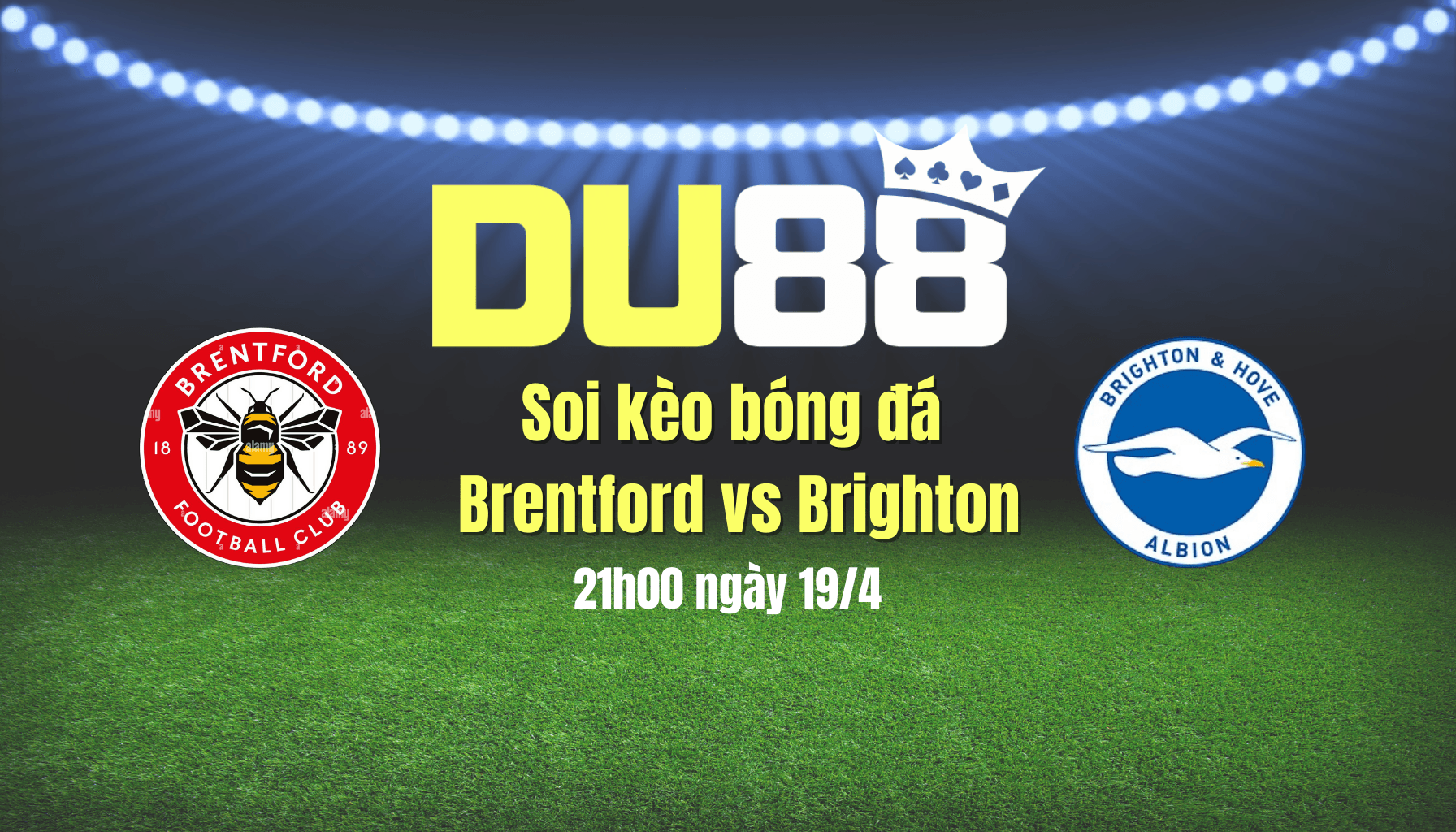 DU88 Soi kèo bóng đá Brentford vs Brighton, 21h00 ngày 19/4: Cơ hội cho Bầy ong